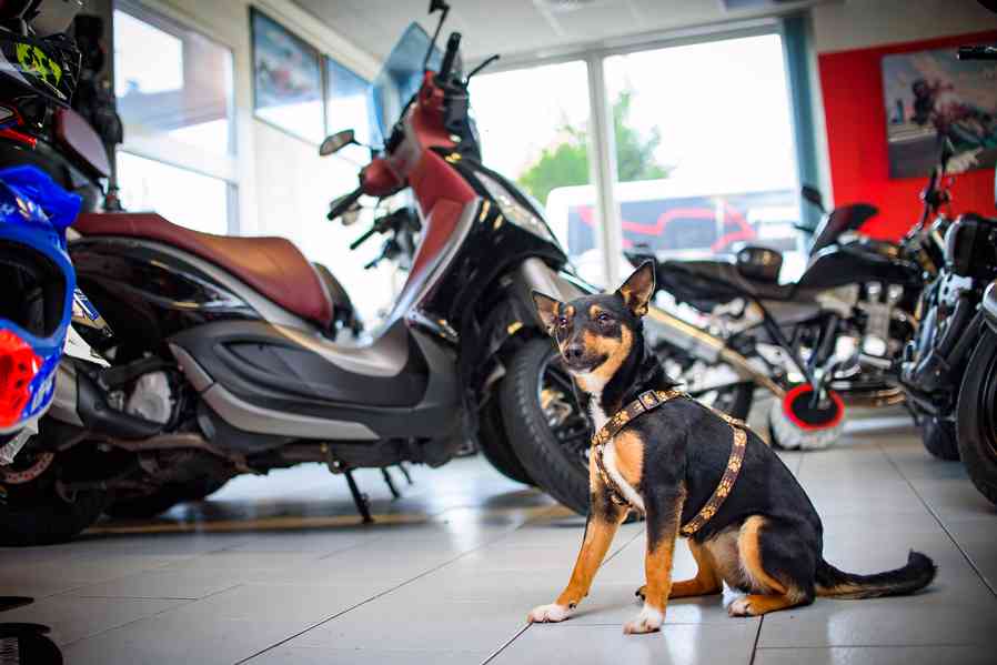 Aprilia – vhodná do terénu i města - foto 2