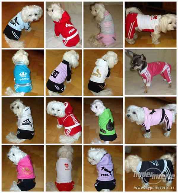 Riky-dogwear - Oblečenie pre psíkov - foto 8