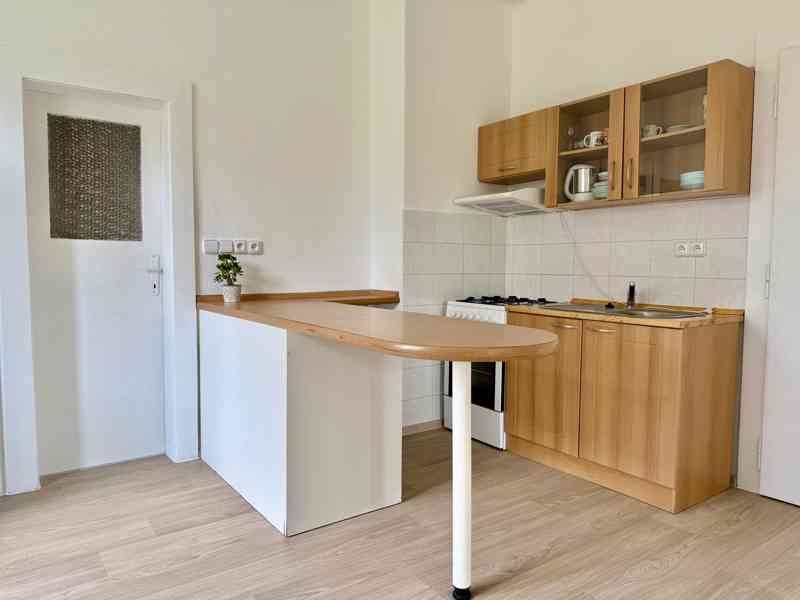 Pronájem bytu 1+1, 65 m2, cihla, zahrádka, slunné bydlení - foto 2