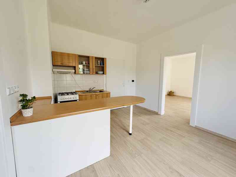 Pronájem bytu 1+1, 65 m2, cihla, zahrádka, slunné bydlení - foto 4