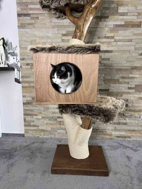 Škrabadlo pro kočky přírodní ze dřeva - foto 3