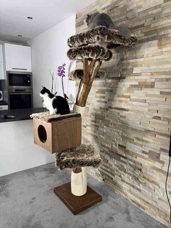 Škrabadlo pro kočky přírodní ze dřeva - foto 2