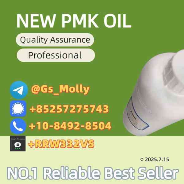 New Pmk Glycidyl Ester Powder CAS 52190-28-0 /4676-39-5 /205 - foto 3