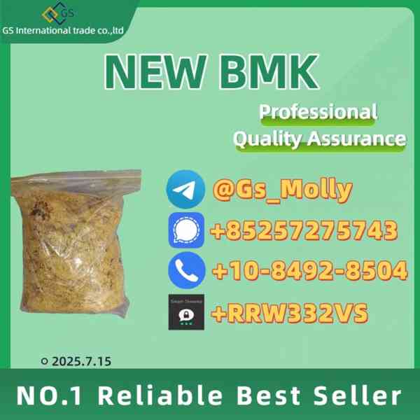 New Pmk Glycidyl Ester Powder CAS 52190-28-0 /4676-39-5 /205 - foto 5