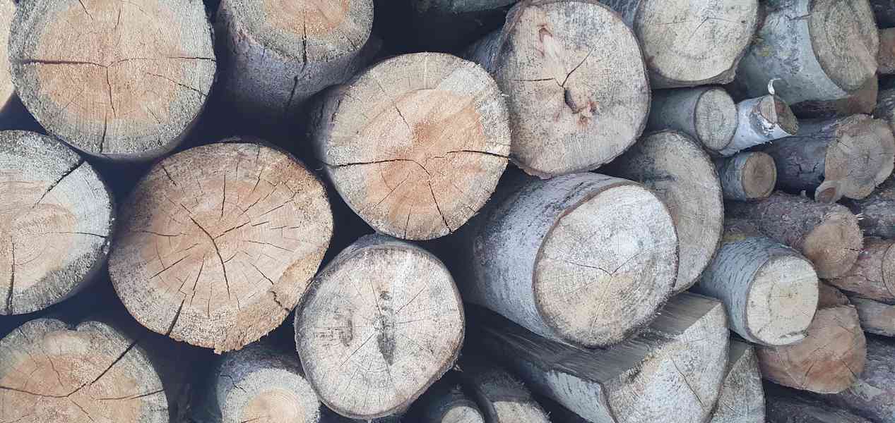 Palivové dřevo na prodej - foto 2