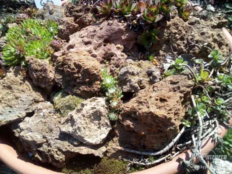 Lávové kameny do skalek a okrasných mís - foto 1