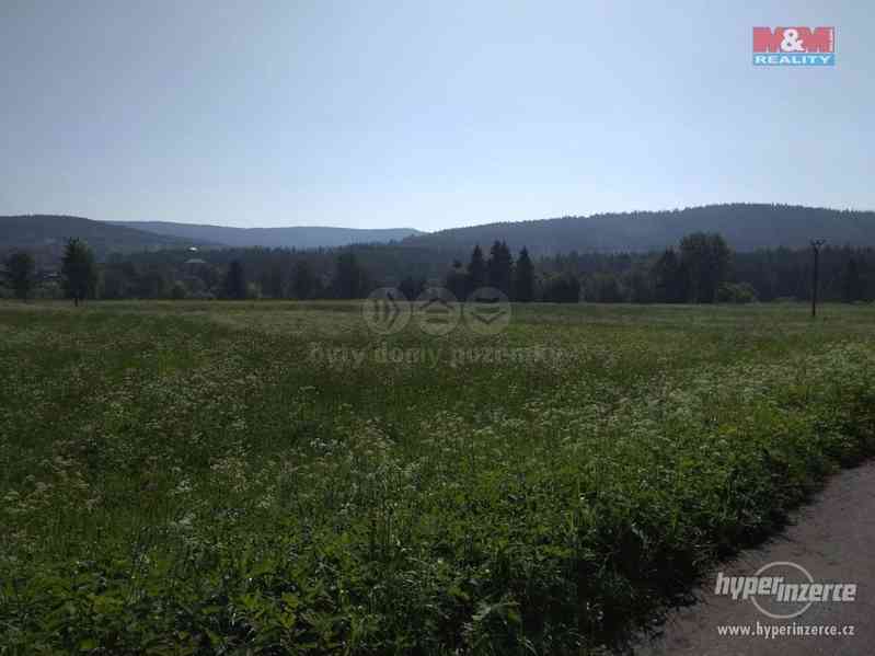 Prodej, louka, 5744 m2, Borová Lada - foto 1