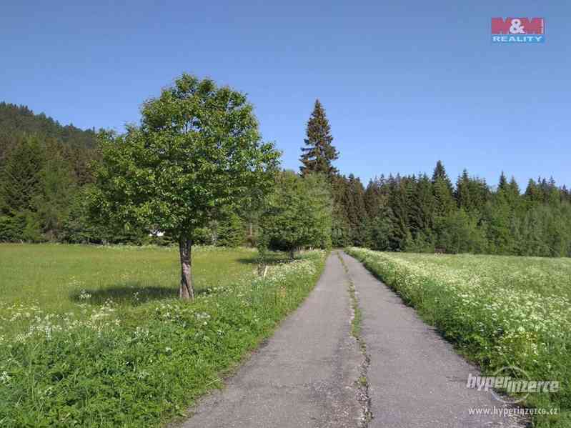 Prodej, louka, 5744 m2, Borová Lada - foto 4