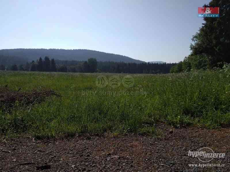 Prodej, louka, 5744 m2, Borová Lada - foto 5