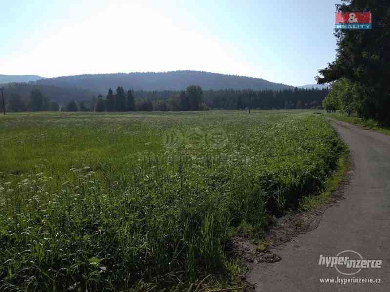 Prodej, louka, 5744 m2, Borová Lada - foto 6