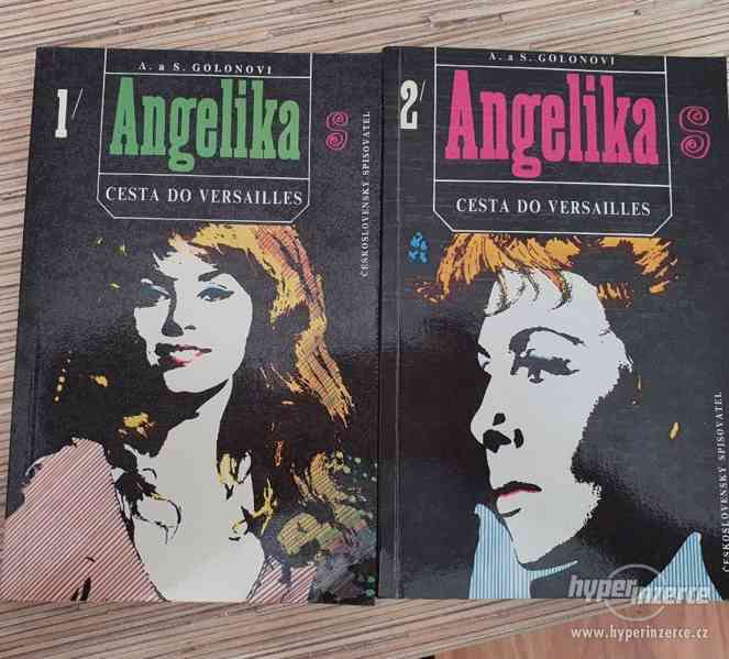 Hnihy Knihy Angelika - Cesta do Versailles - foto 1