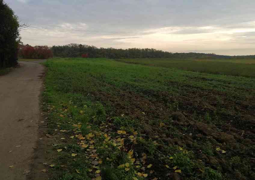 Stavební pozemek v Černěvsi - foto 3