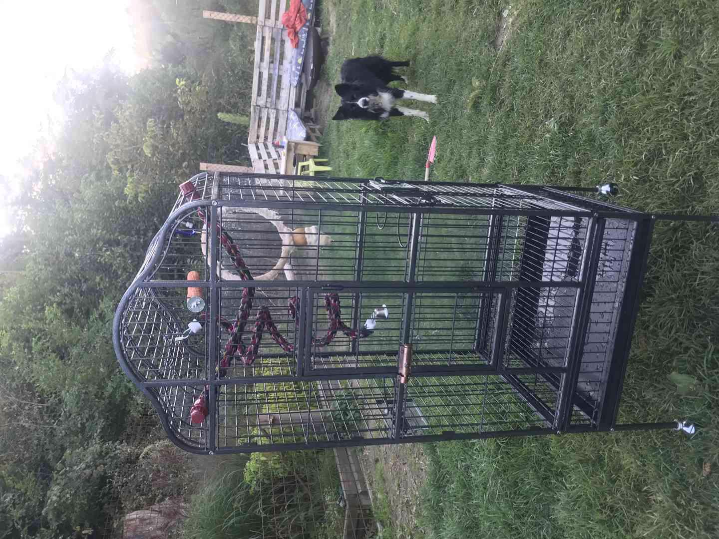 Voliéra pro papouška - foto 1