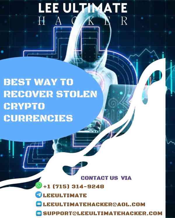 HOW TO FIGHT AGAINST CRYPTO SCAM AND WIN WITH LEE ULTIMATE  - foto 2