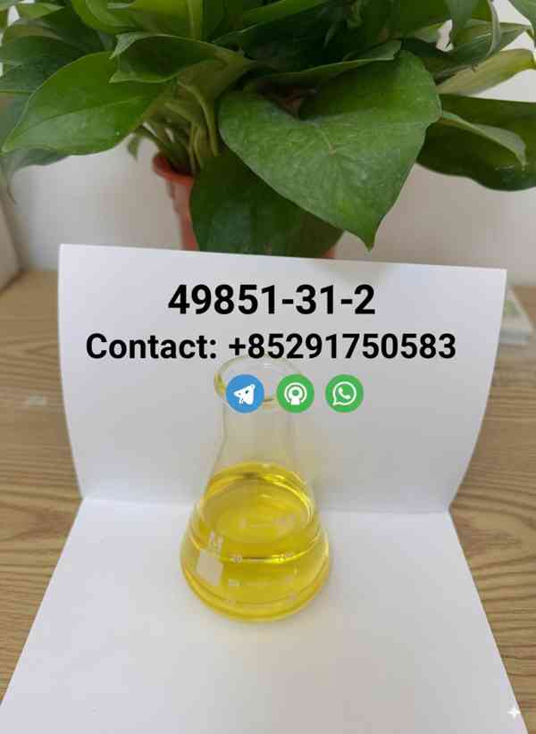 CAS 9851-31-2