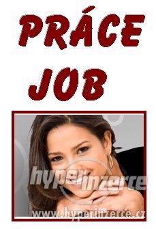 Ředitele pro PRAHU a okolí,  home office - foto 1