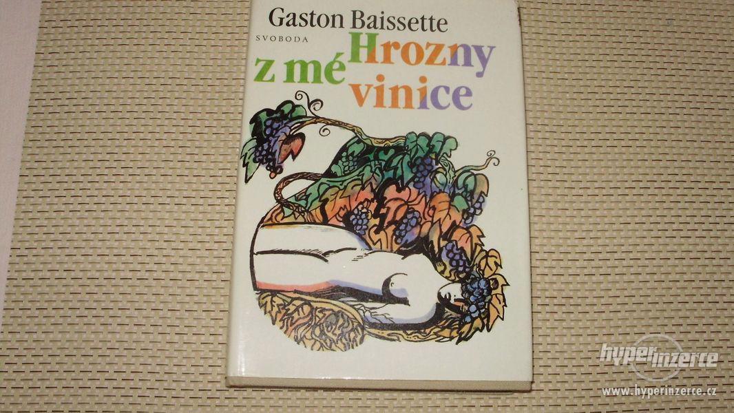 Hrozny z mé vinice Gaston Baisette - foto 1