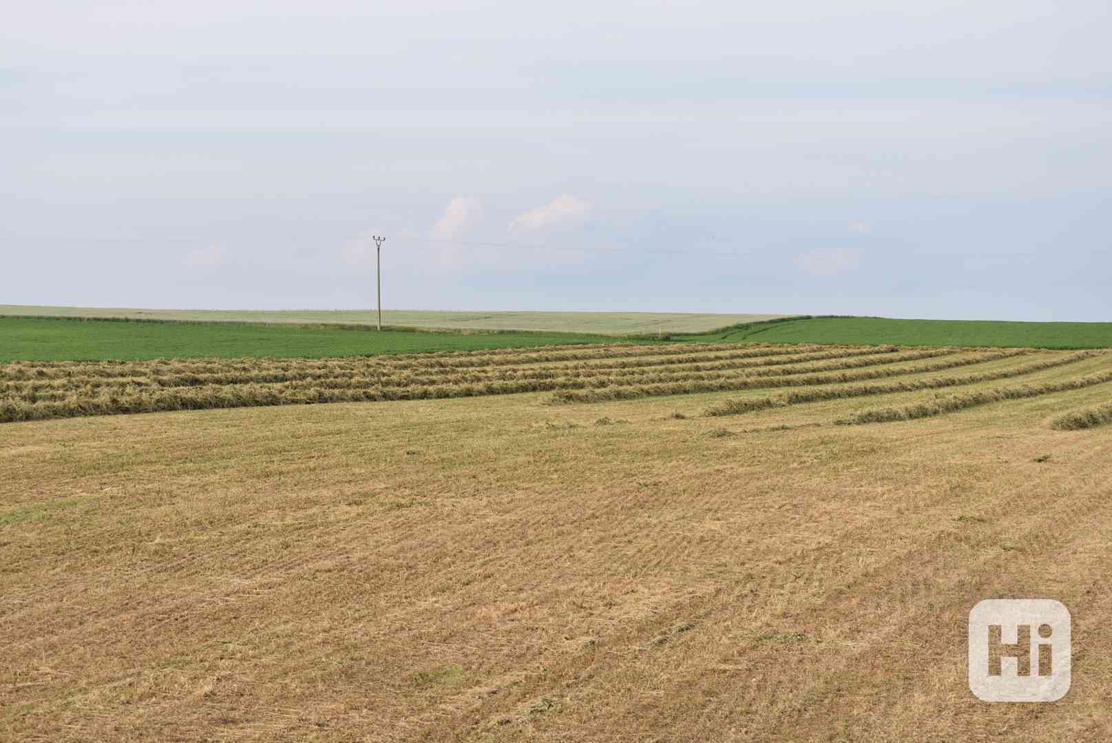 Vojtěškové seno - foto 1