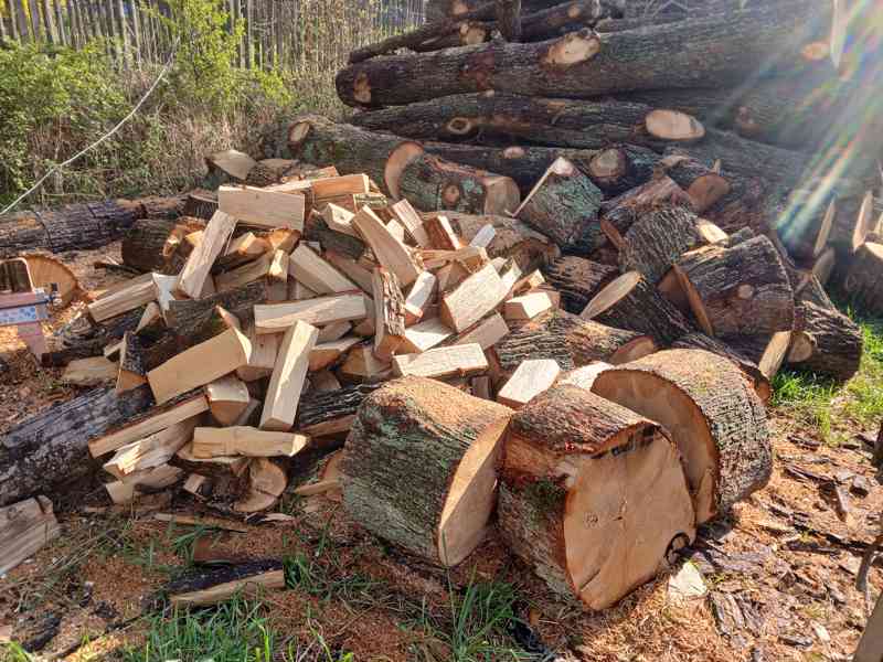 Palivové dřevo - foto 3