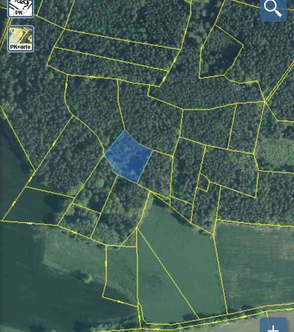 Lesní pozemek Sudkovice - foto 11