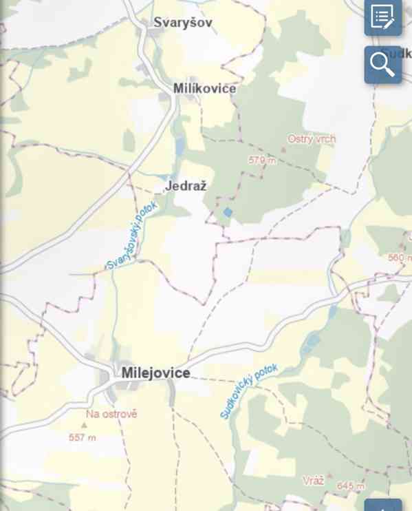 Lesní pozemek Sudkovice - foto 14