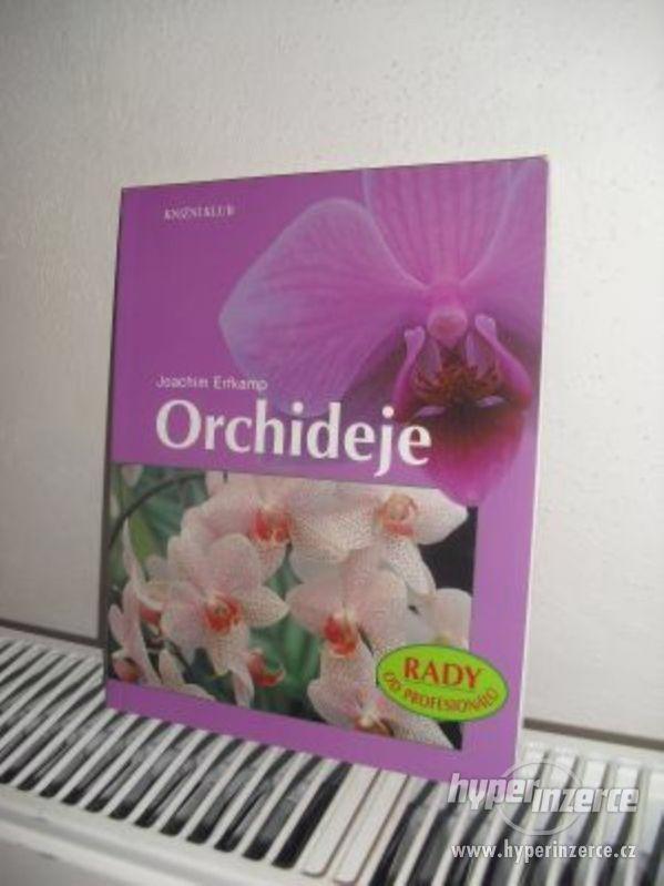 Joachim Erfkamp – Orchideje - foto 1