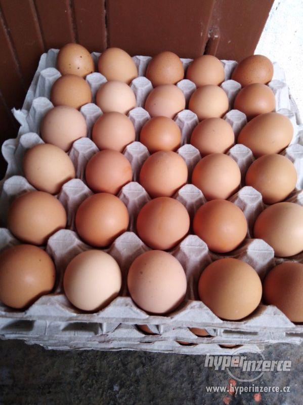 Vajíčka Domácí 1kus 3,50 kc - foto 1