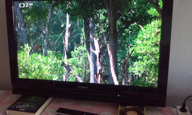 Sony Bravia KDL 32V-4220 - foto 14