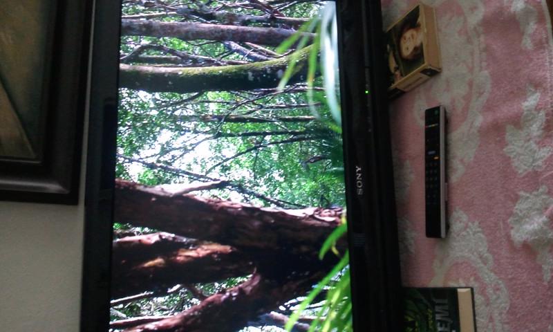 Sony Bravia KDL 32V-4220 - foto 13