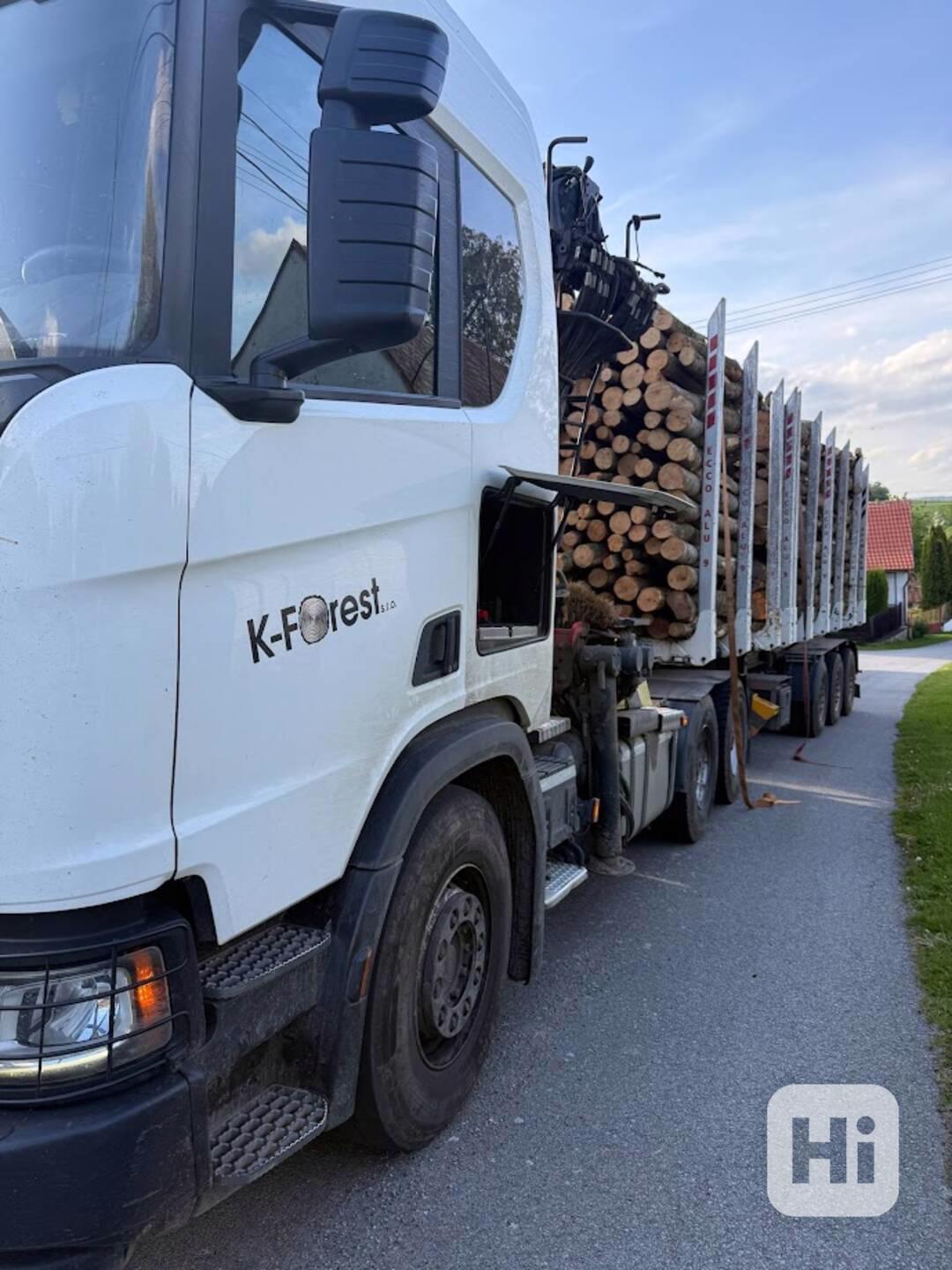 Prodej lesa / dříví / lesní služby - foto 1