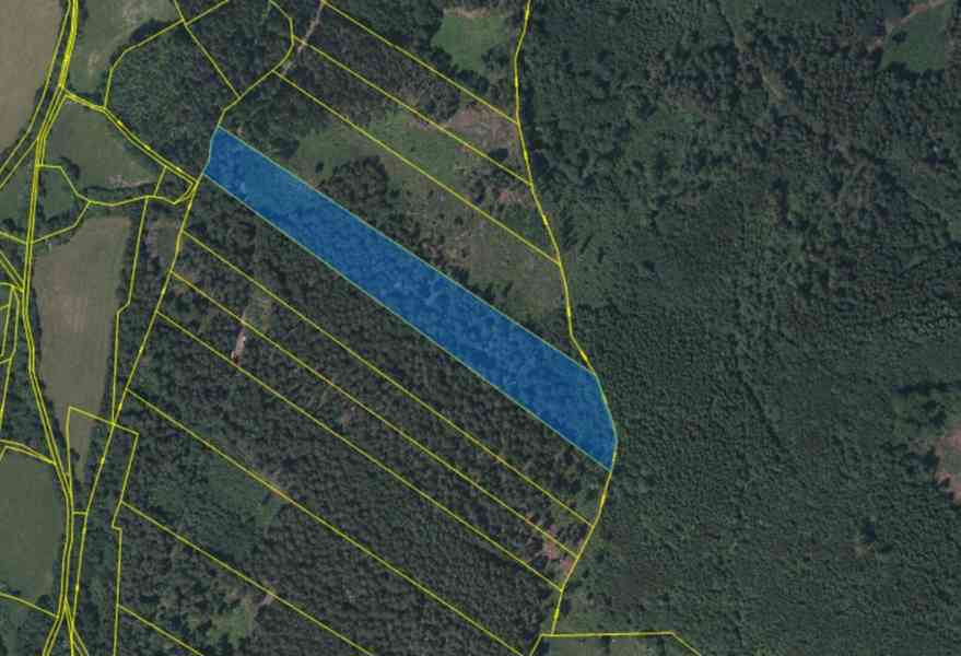 Prodej lesního pozemku 18 883 m² – Trsice,Petrovice u Sušice - foto 3