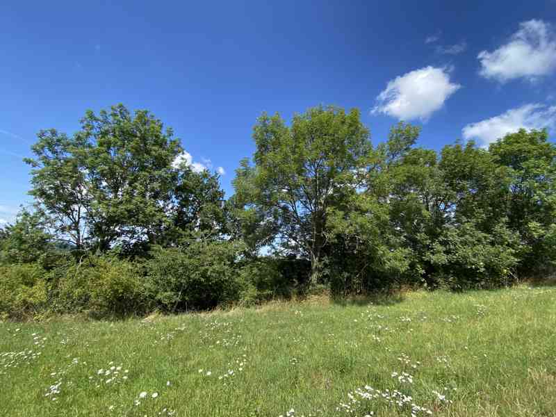 Pozemek ostatní plocha Horní Libina - foto 2