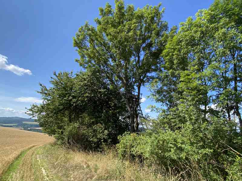 Pozemek ostatní plocha Horní Libina - foto 6