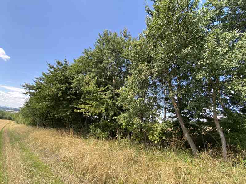 Pozemek ostatní plocha Horní Libina - foto 7