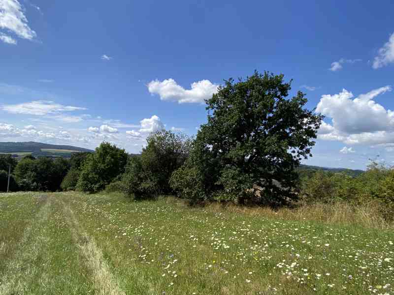 Pozemek ostatní plocha Horní Libina - foto 4