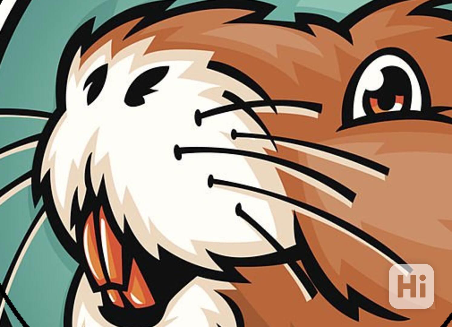 Prodám nutrie na maso i na chov.  - foto 1