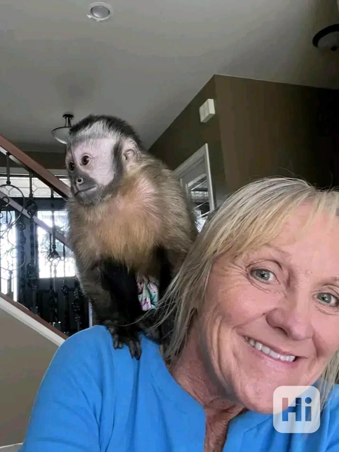  Kapucínští herci, kteří vás rozesmějí - foto 1