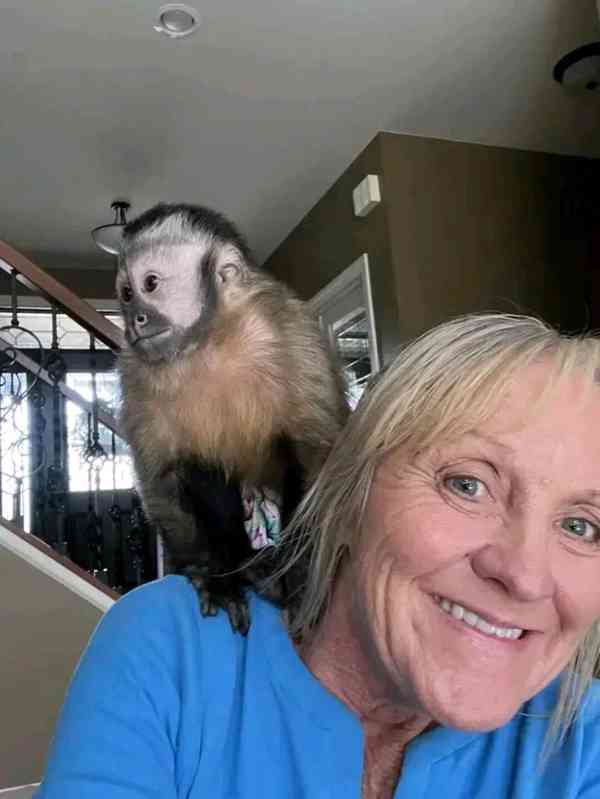  Kapucínští herci, kteří vás rozesmějí