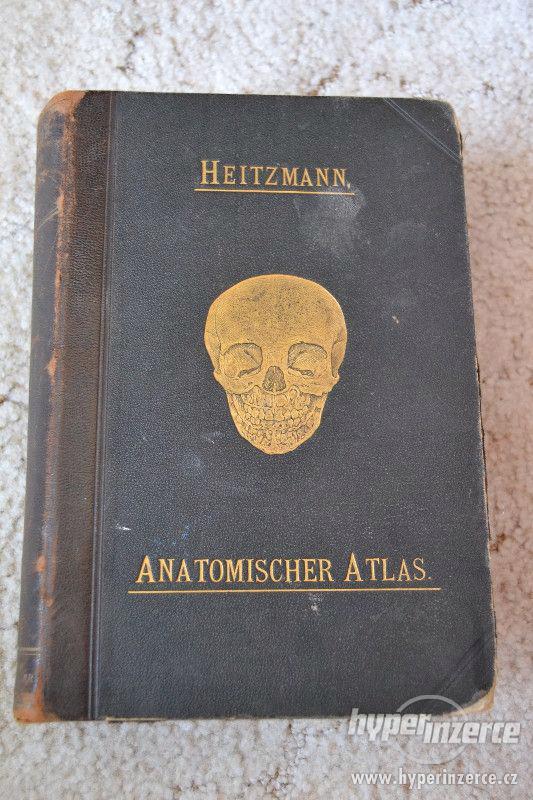 ANATOMISCHER ATLAS - Heitzmann - foto 1