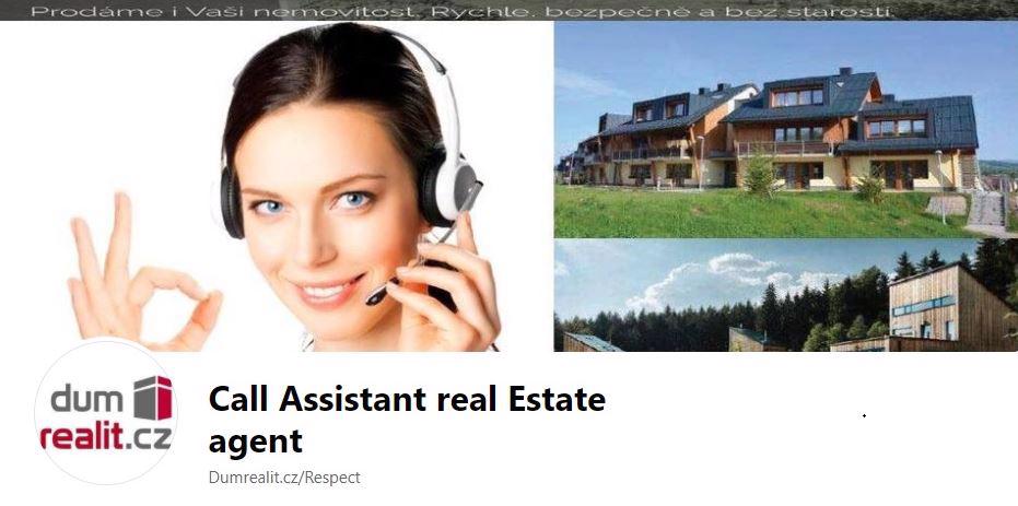 Call Assistant real Estate agent - foto 1