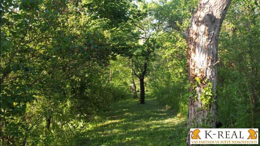 Prodej zahrada 1227 m2 Brno - Židenice, okr. Brno - město - foto 3