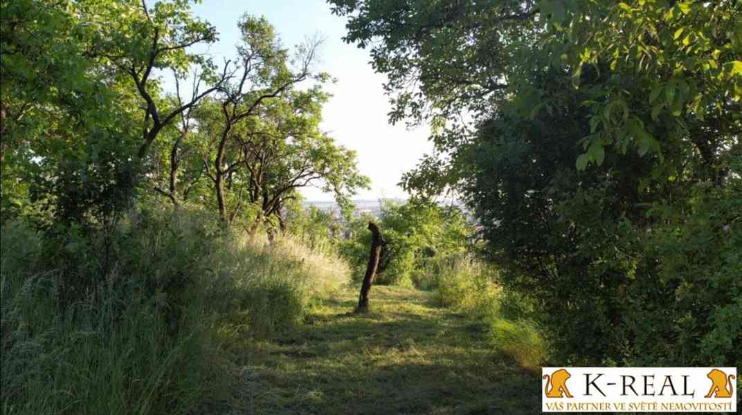 Prodej zahrada 1227 m2 Brno - Židenice, okr. Brno - město - foto 7