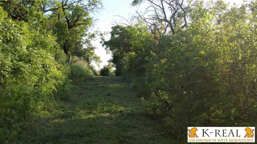 Prodej zahrada 1227 m2 Brno - Židenice, okr. Brno - město - foto 8