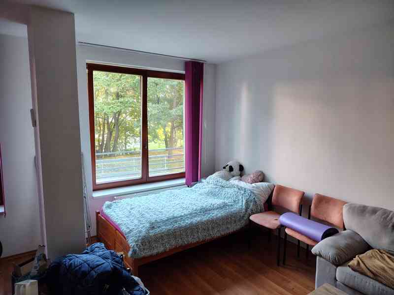 Pronájem bytu 1kk Pardubice - foto 5