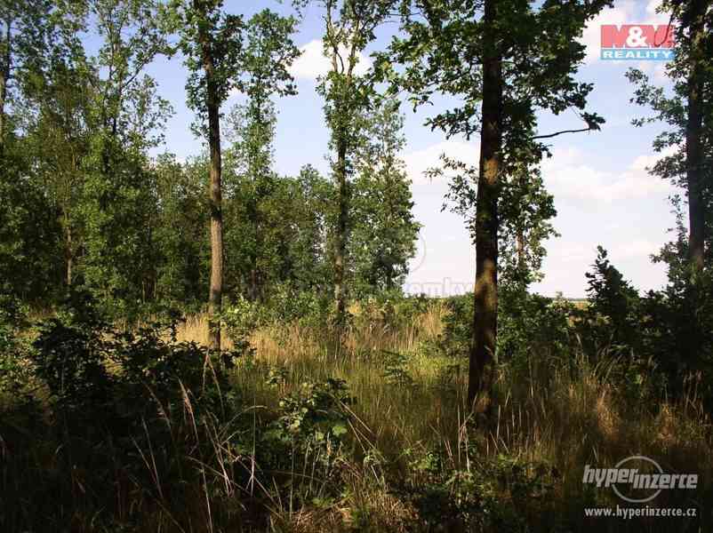 Prodej, les, 80.864 m2, Jeseník - foto 3
