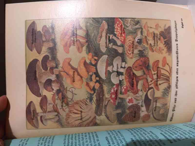 Die Küche und ihre Jahreszeiten 1932 - foto 2