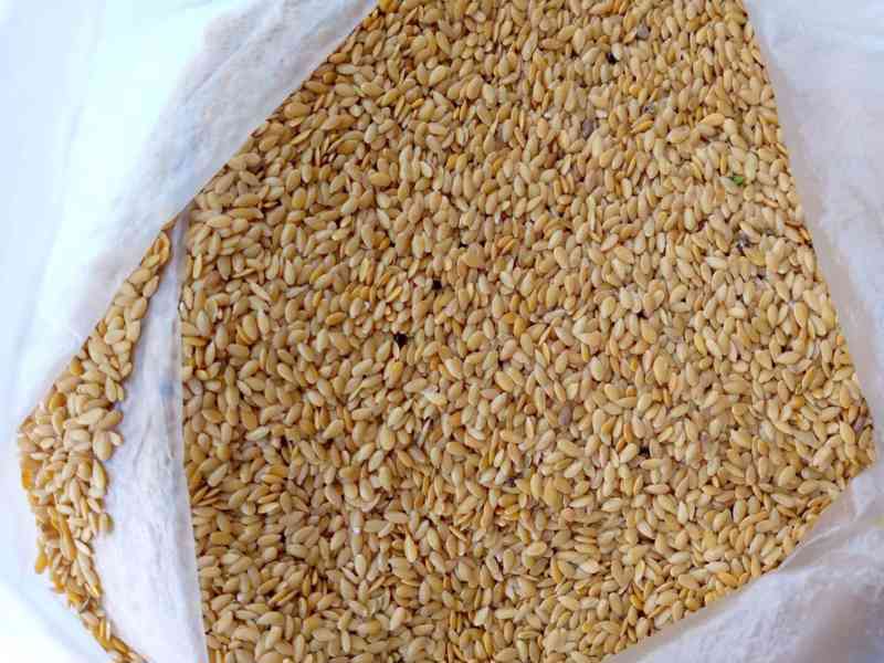Golden flaxseed / linseed - foto 1