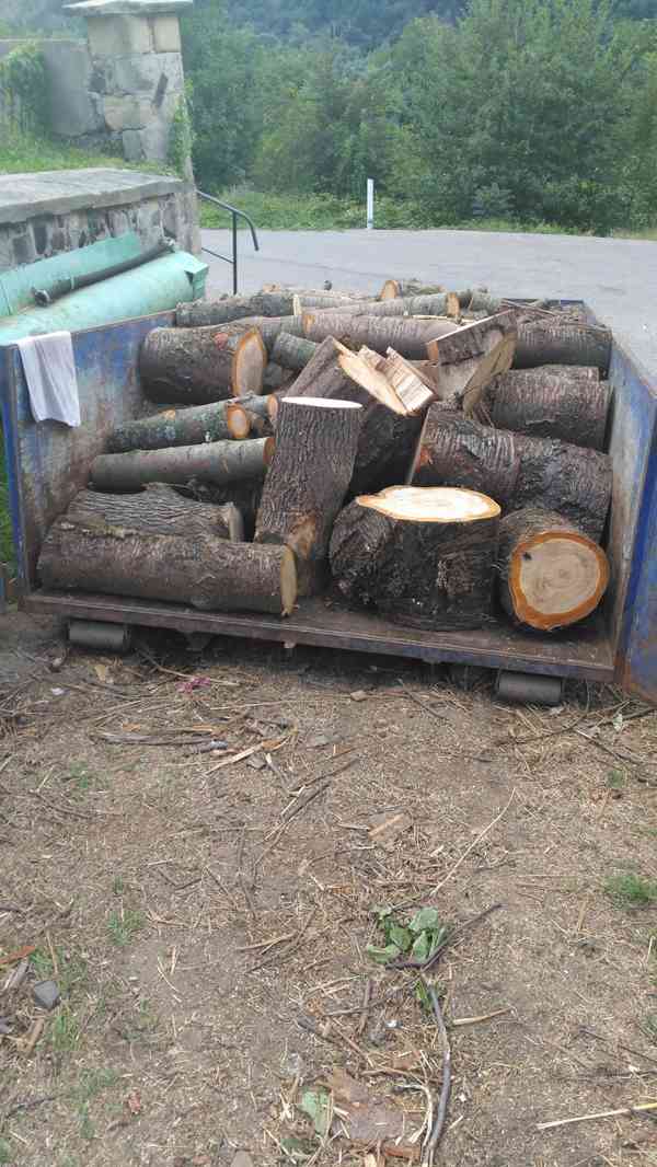 Tvrdé palivové dřevo  - foto 3