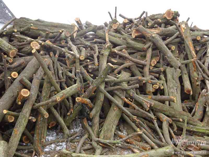 Prodám švestkové (trnkové) dřevo - foto 3