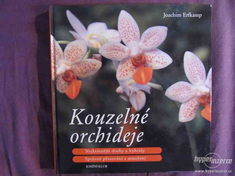 Kouzelné orchideje - foto 1